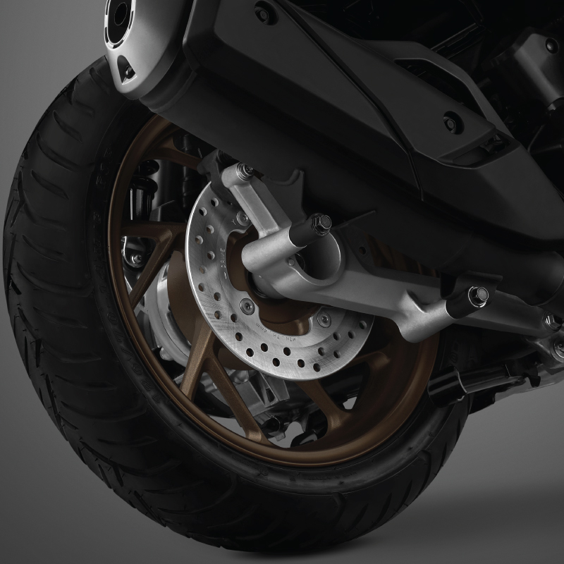 Rear Disc Brake