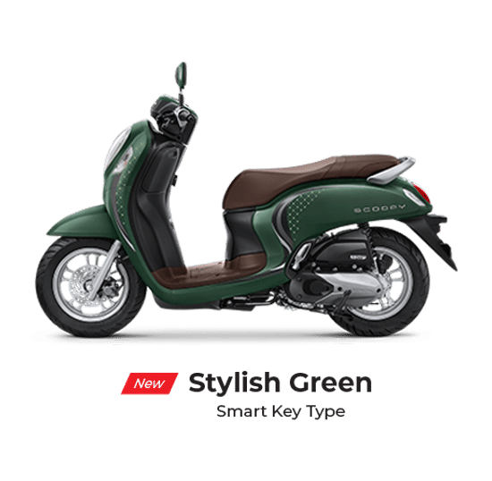 Honda Scoopy Stylish 