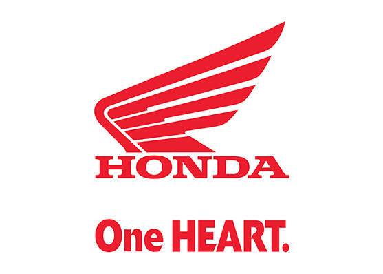 Marketing Executive