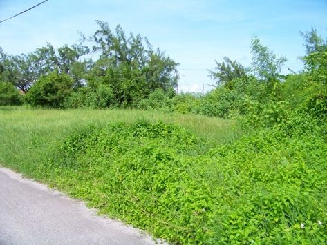 Coral HavenCrane Residential land