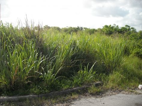 Pilgrim Road Residential land