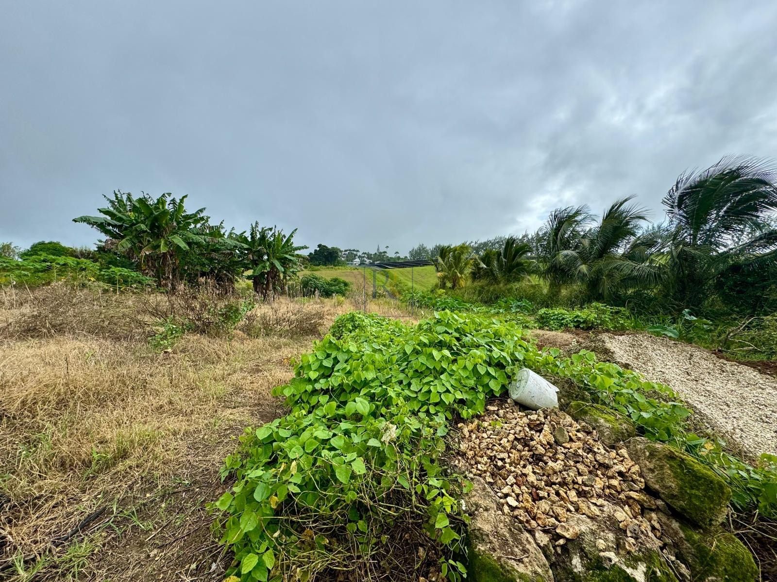 Lot 6 Claybury, St. John