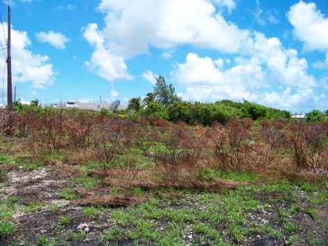 Green Point Residential land