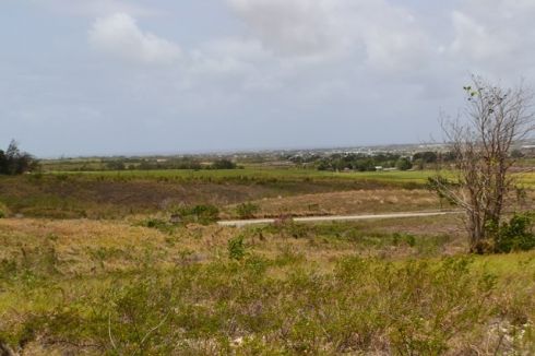 Cherry AvenueRolling Hills Residential land