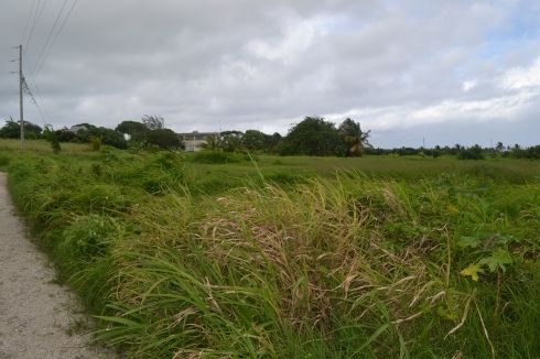 Lot 4B Golden Grove Plantation, St. Philip