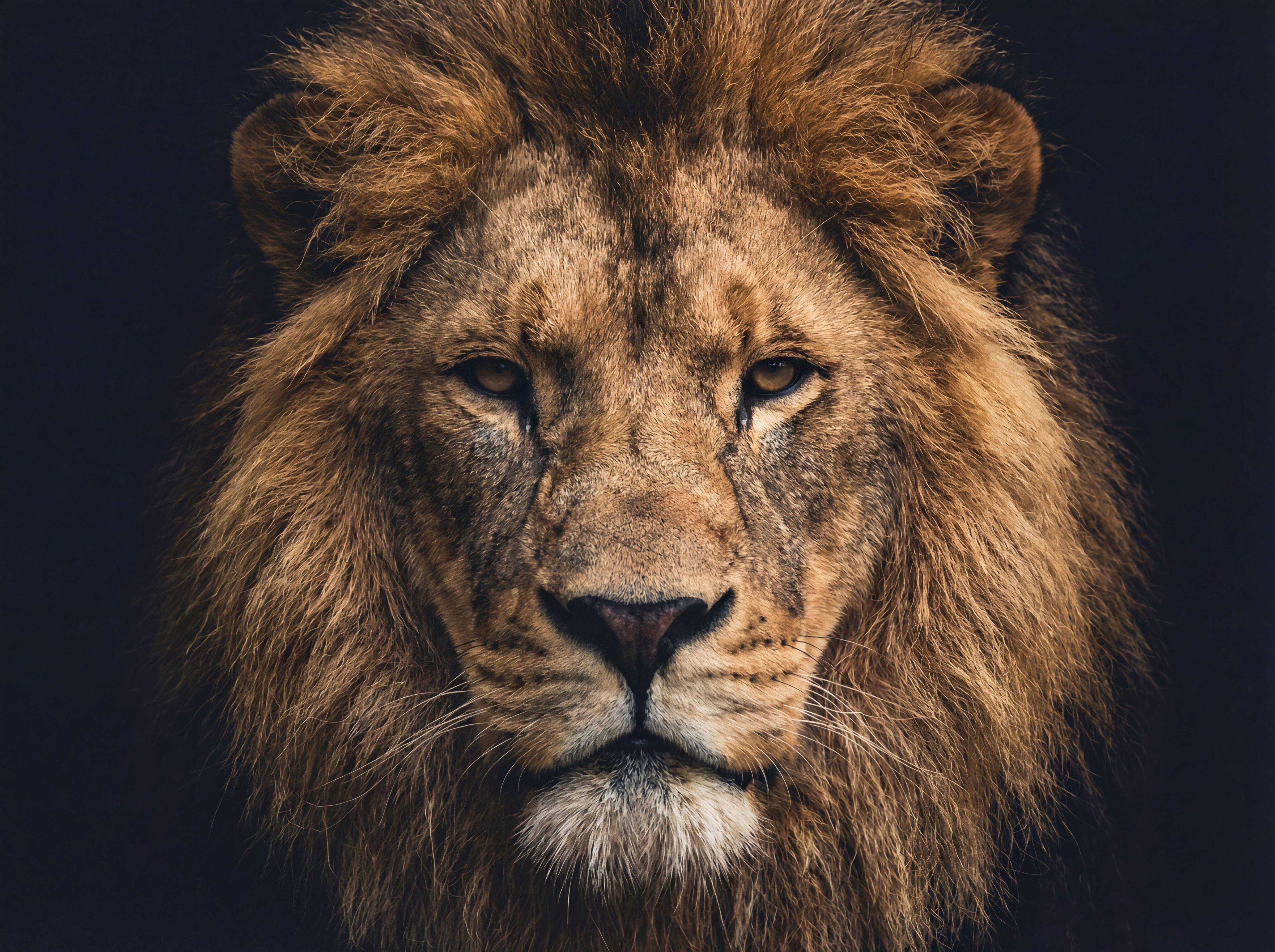 Final Assets