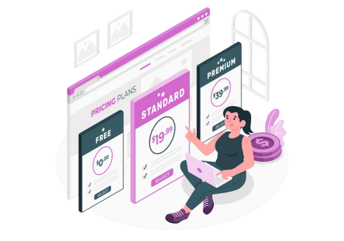 Ecommerce subscription software