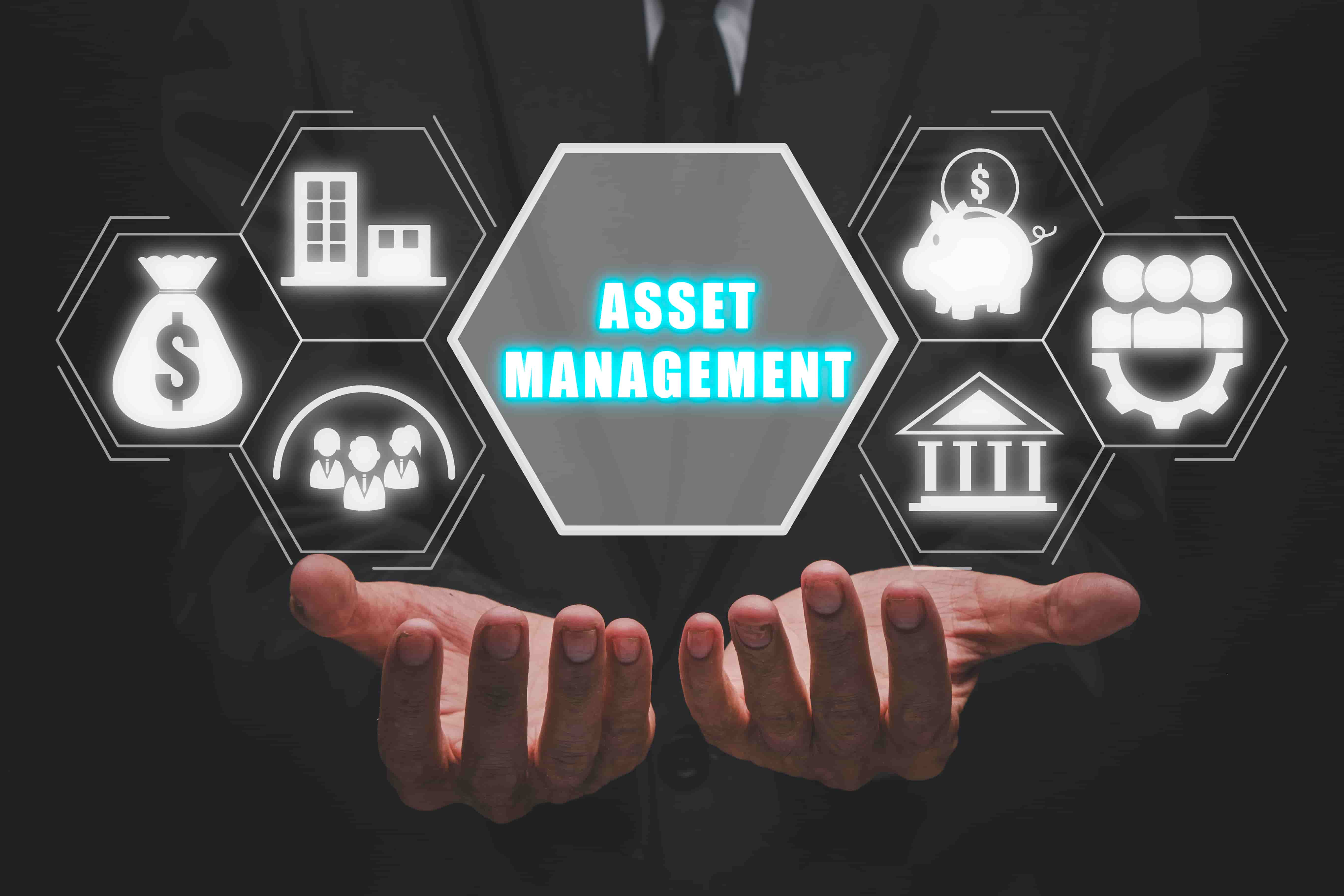 Asset management system