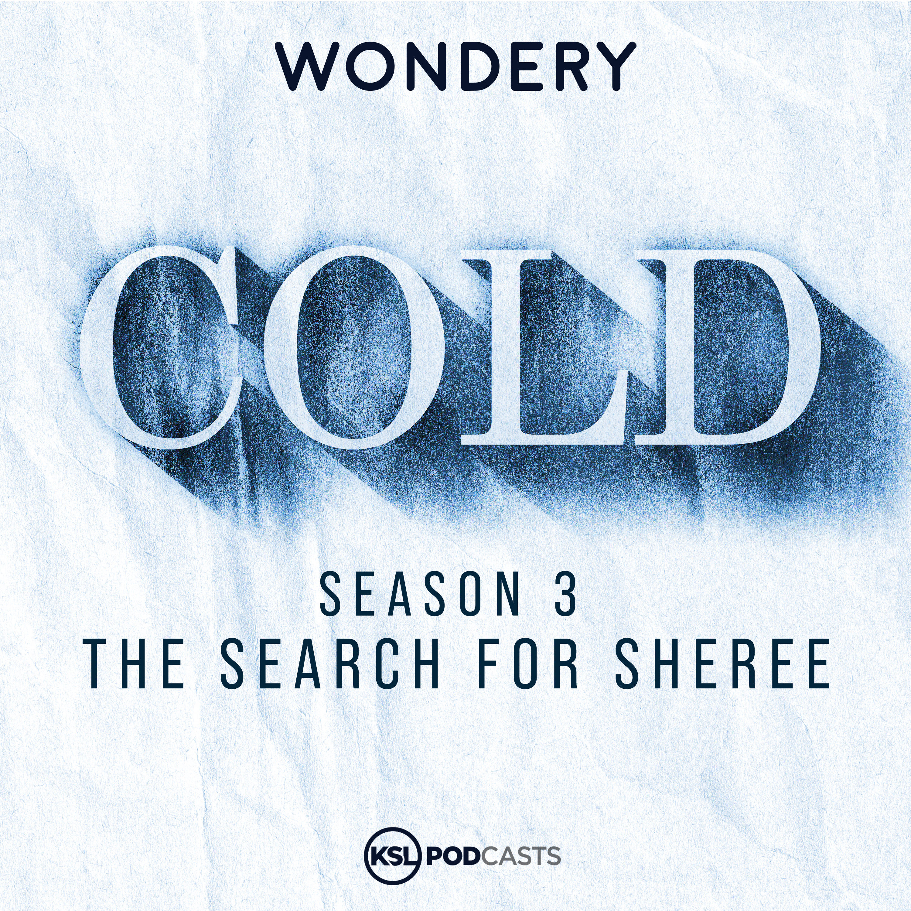 Introducing: The Search for Sheree Warren