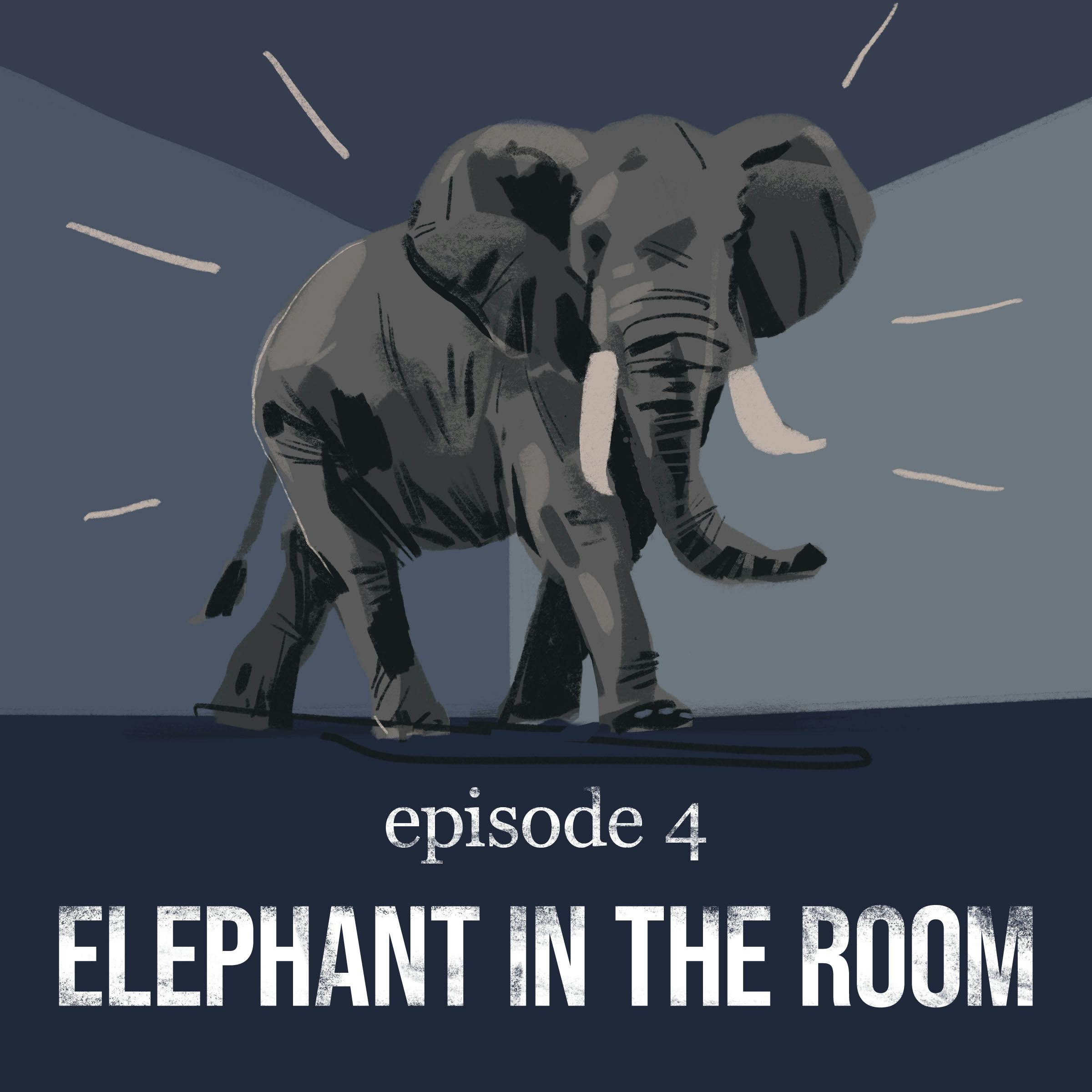  Elephant in the Room | 4