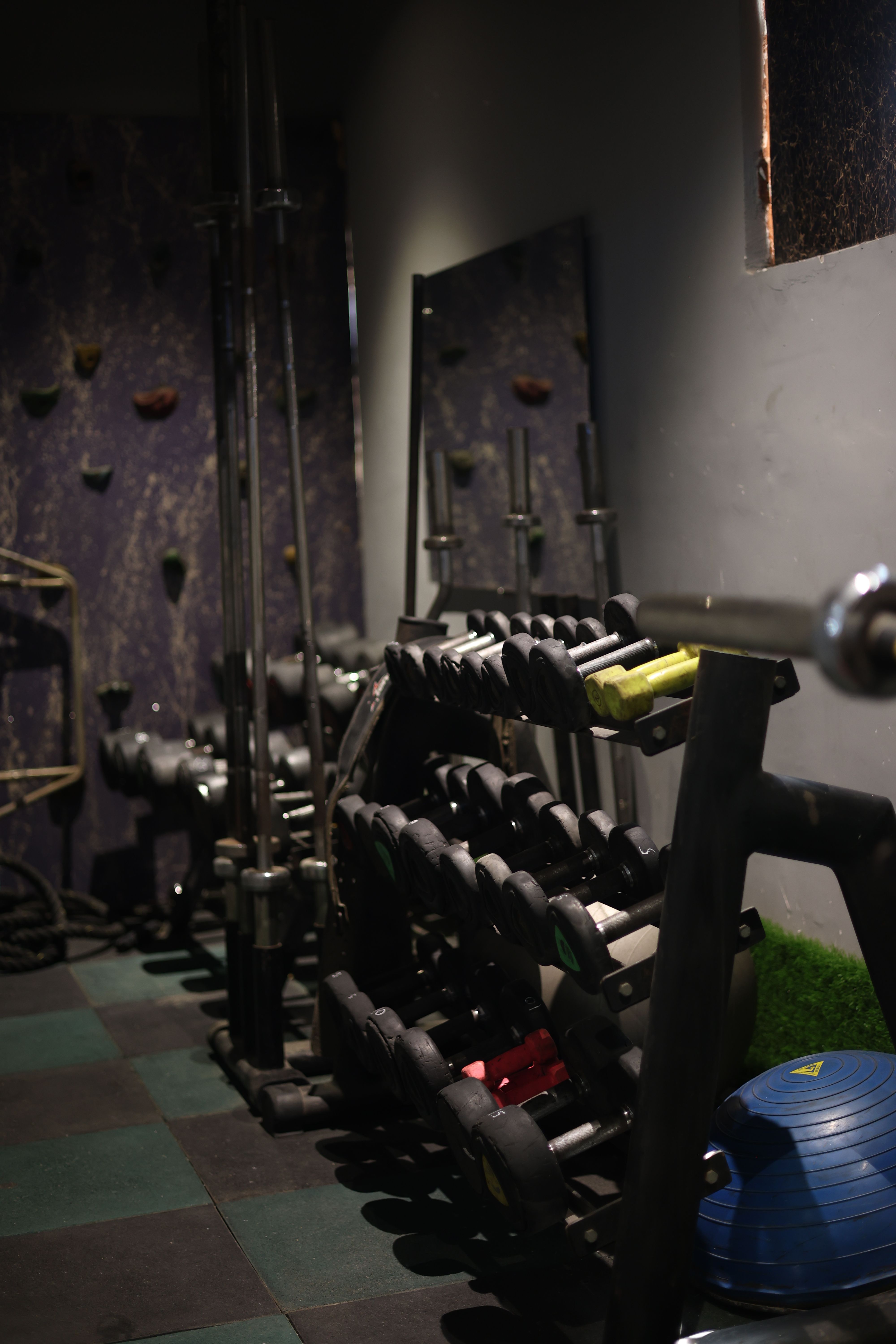 Cardio Section