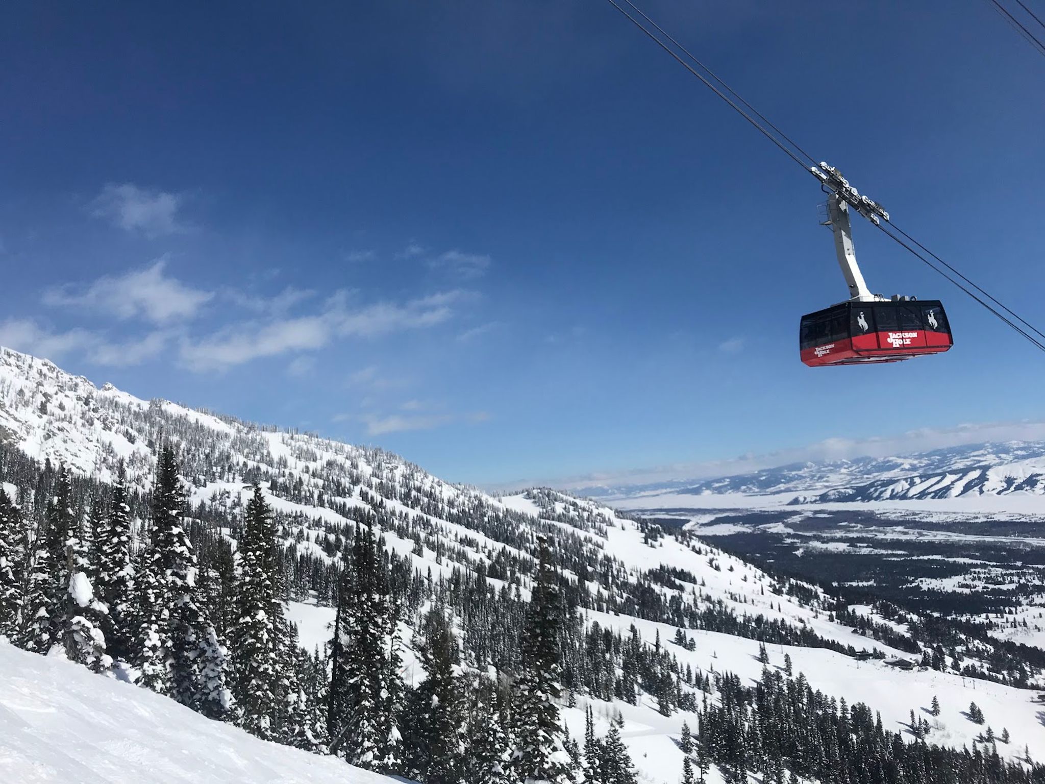 Jackson Hole ski resort