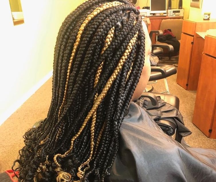 Braid Styles