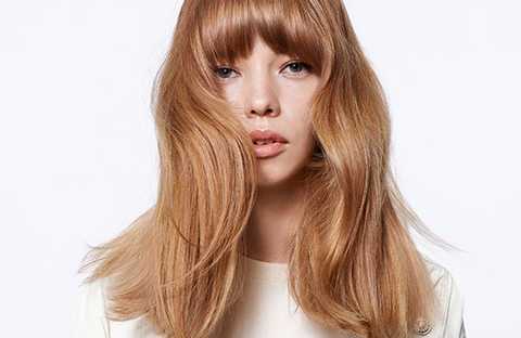 gallery image in our gallery