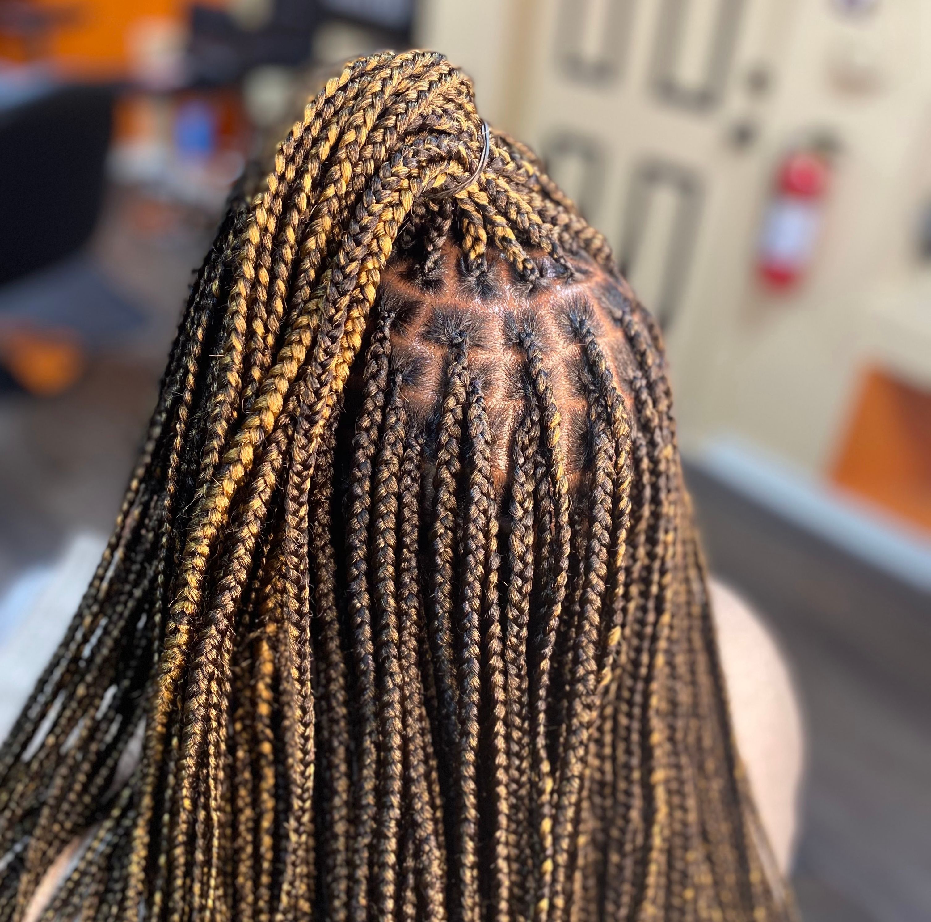 Box Braids