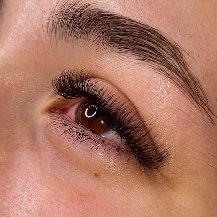 Lash Fills & Touch Ups