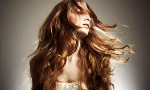 gallery image in our gallery