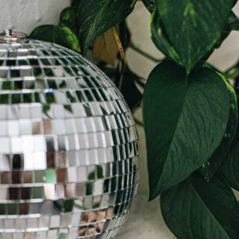 gallery image in our gallery