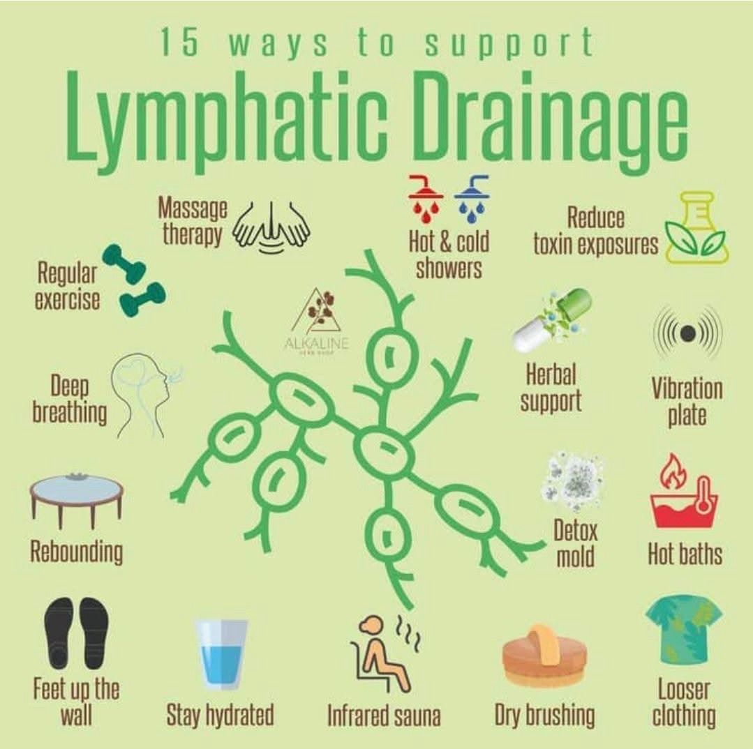  infographic,lymphatic drainage,health tips,wellness  