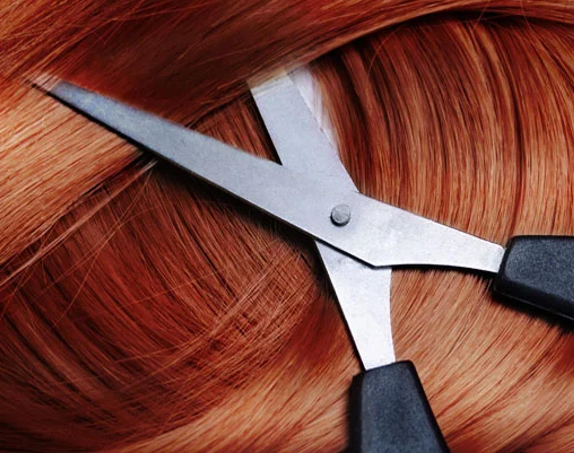 Hair Element Testing