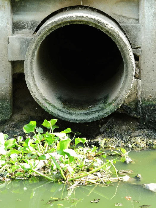 Sewer Service