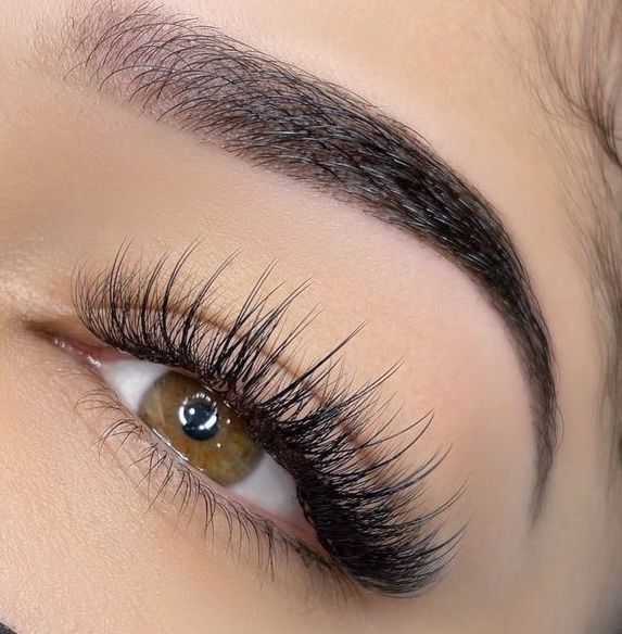 Brow & Lash Services