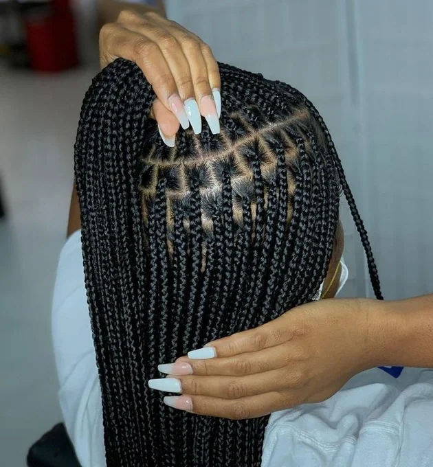 Braid Styles