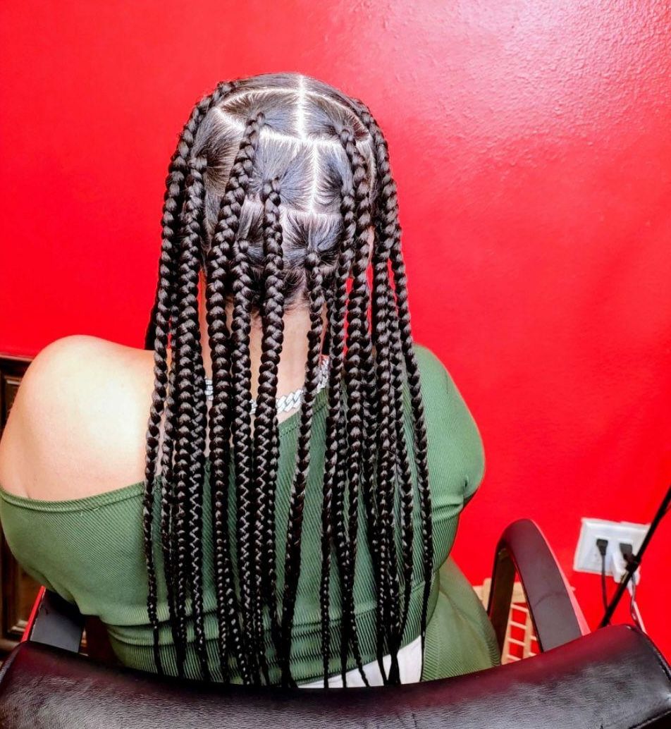 Braid Styles