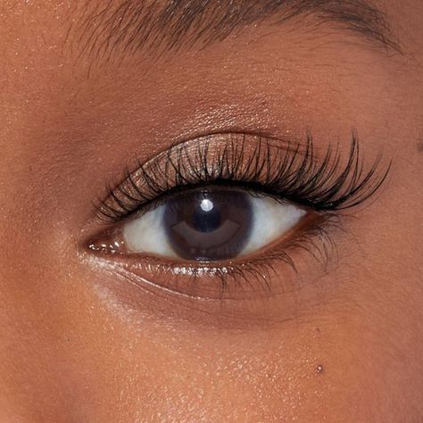 Eyelash Extensions