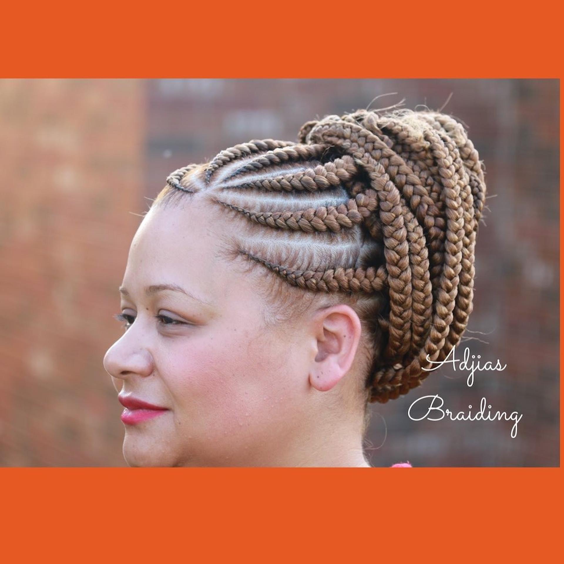 Braid Styles