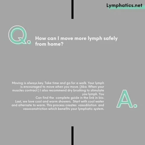  informational,text,health,wellness,lymphatic system 
