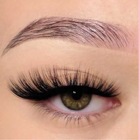 Lashes & Brows Services service