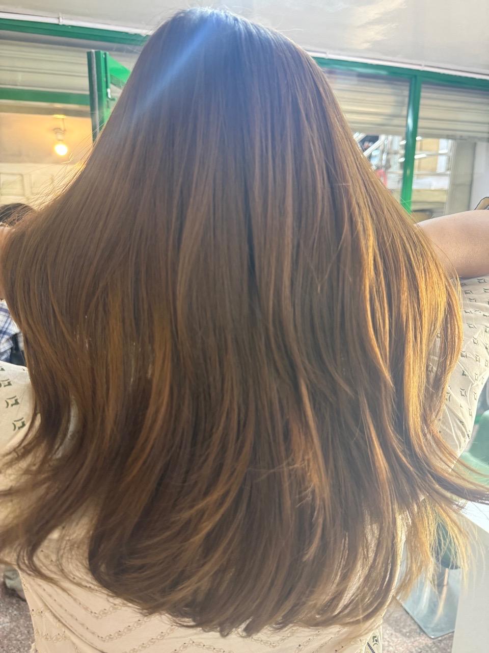 Cut & Hair Care (Women)