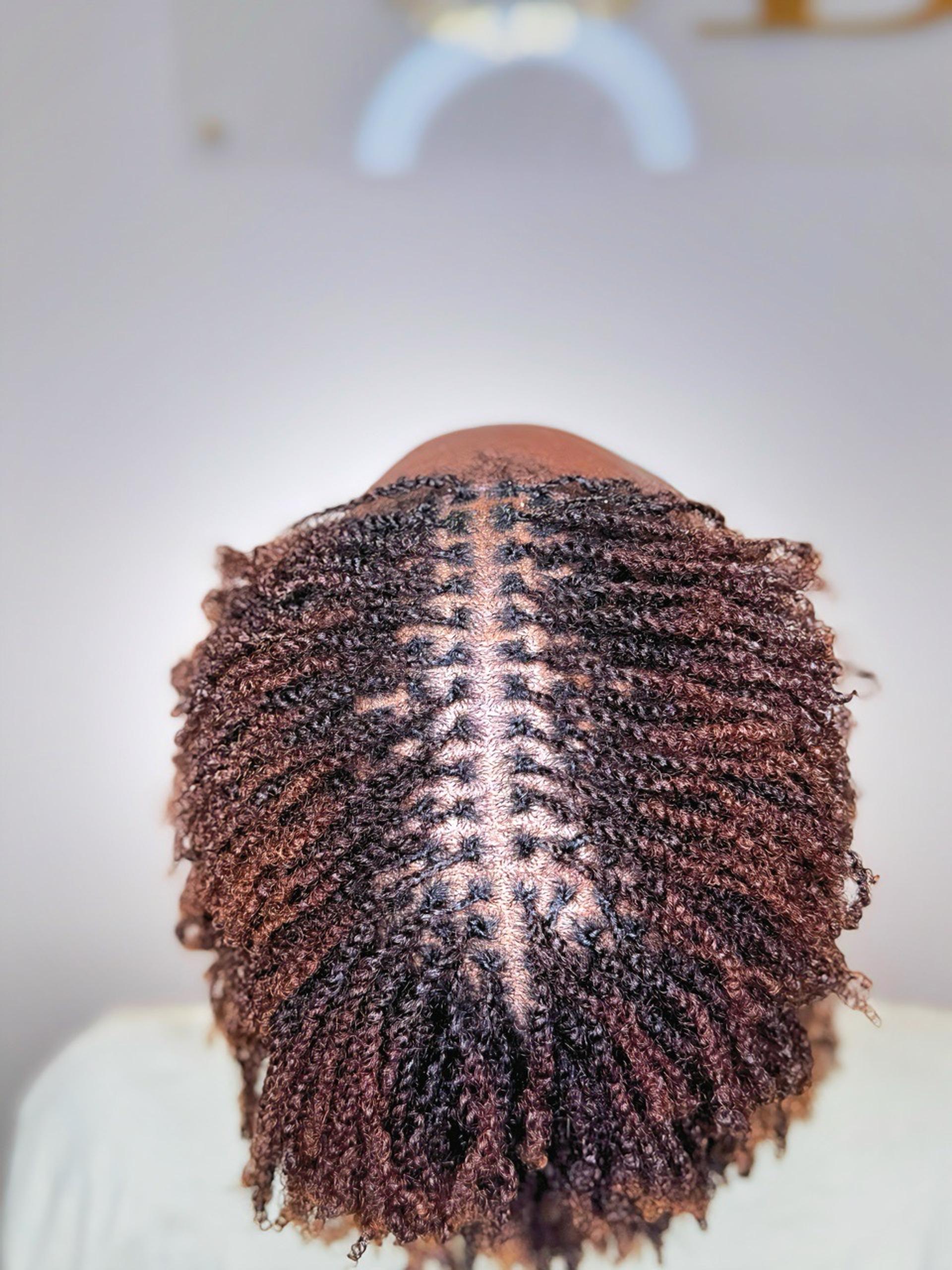 hair,braids,texture,hairstyle