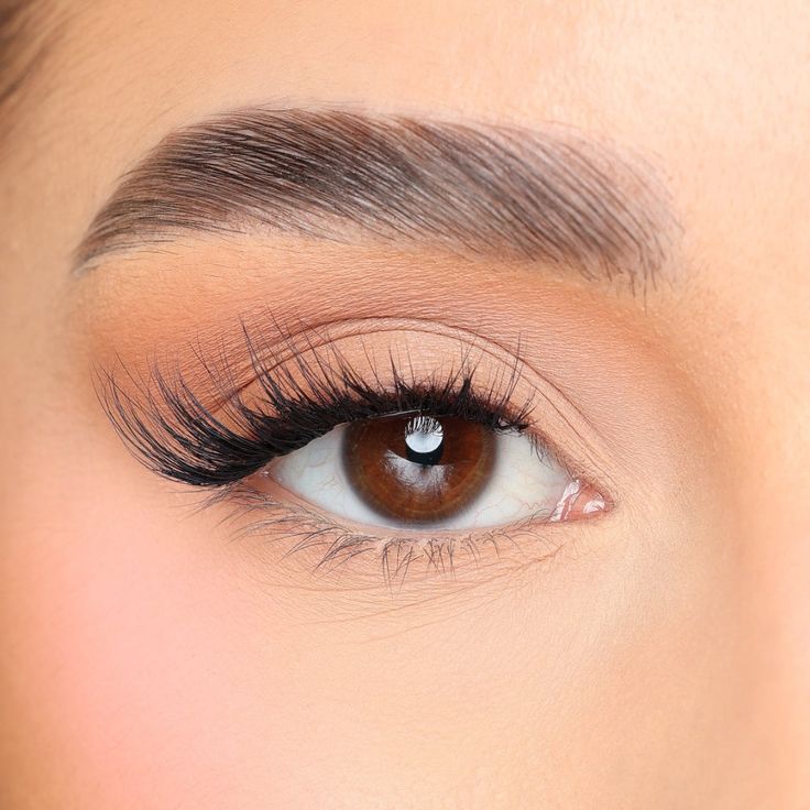Lashes & Brows