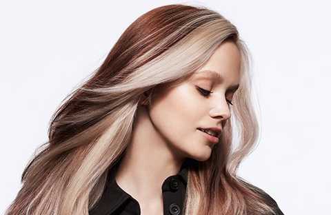 gallery image in our gallery