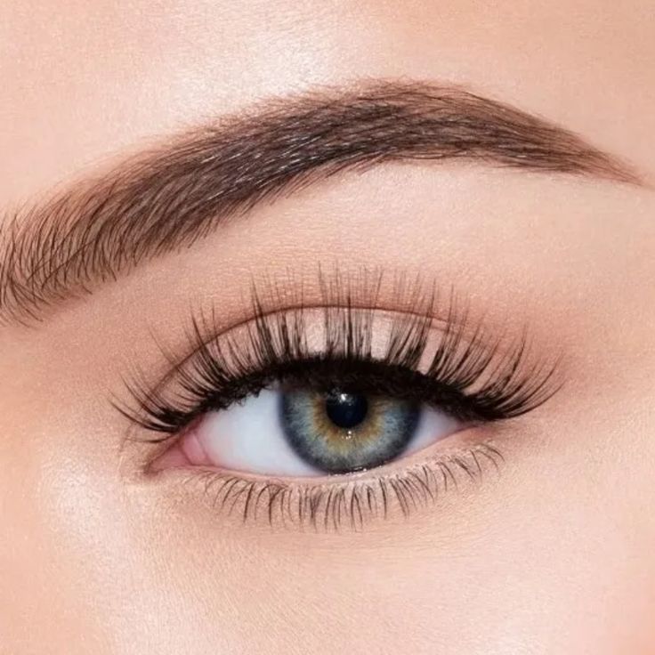 Eyebrow / Eyelash Tinting