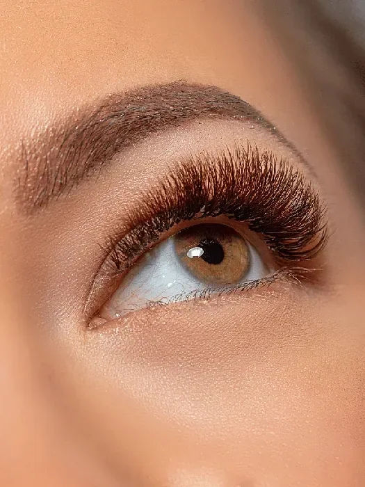Brow/Lash Services