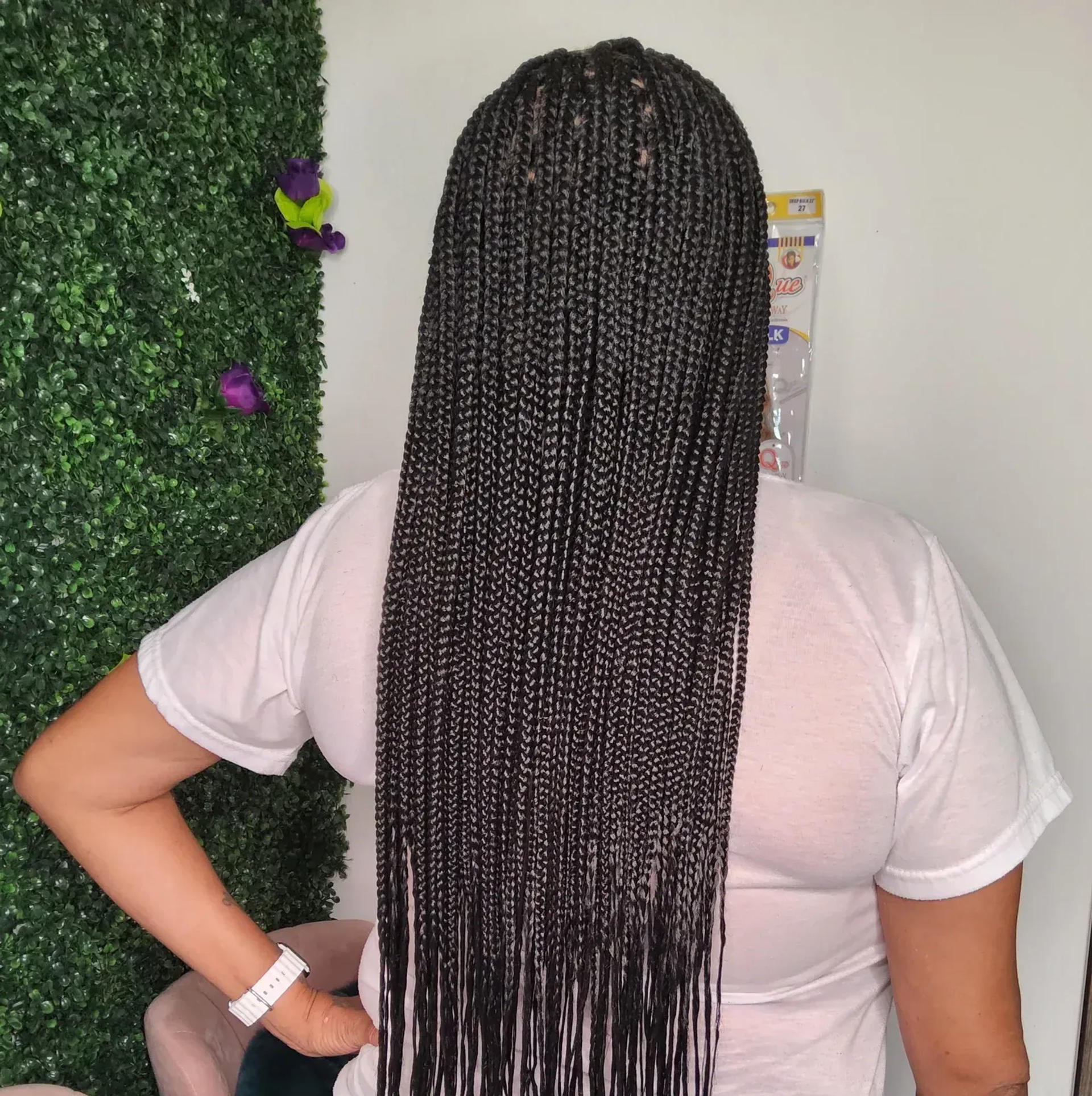 braids,hairstyle,beauty,salon,greenery,back-view