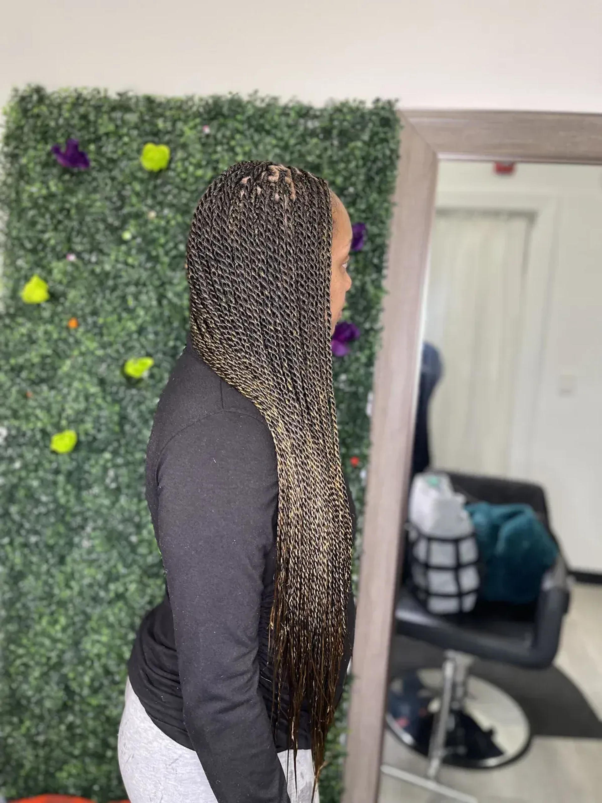 braids,hair,hairstyle,beauty,greenery,mirror