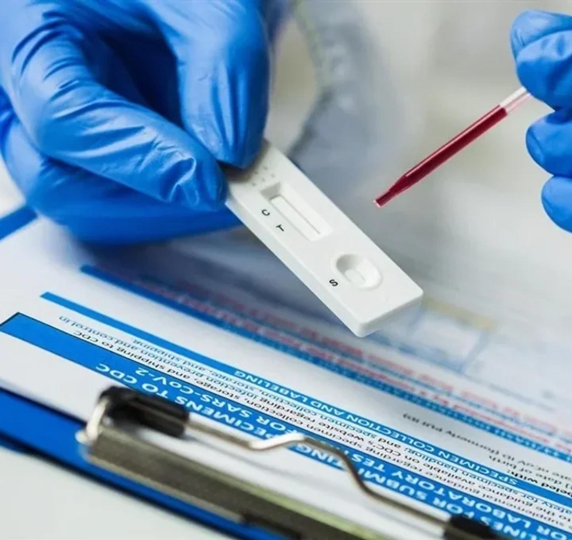 healthcare,diagnostic,test,blood,gloves