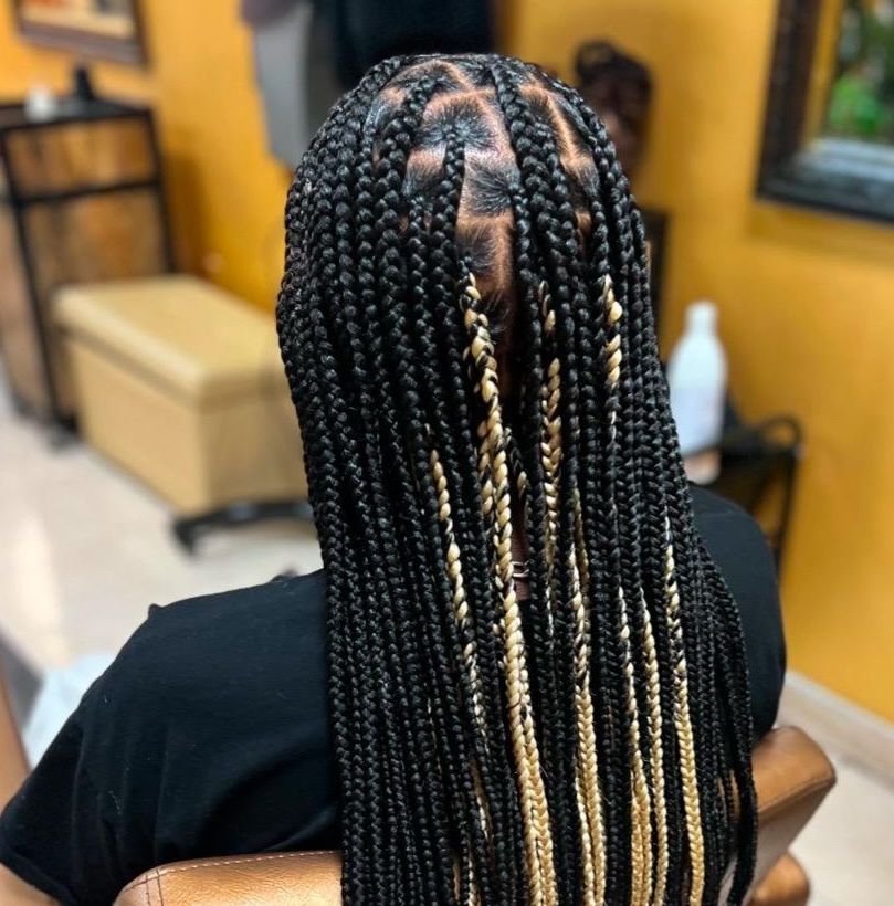 Braid Styles