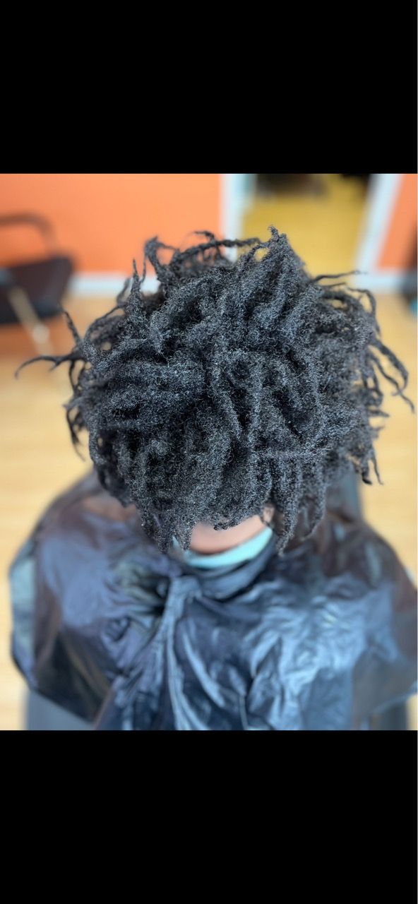 Freeform Locs Transition to Traditional