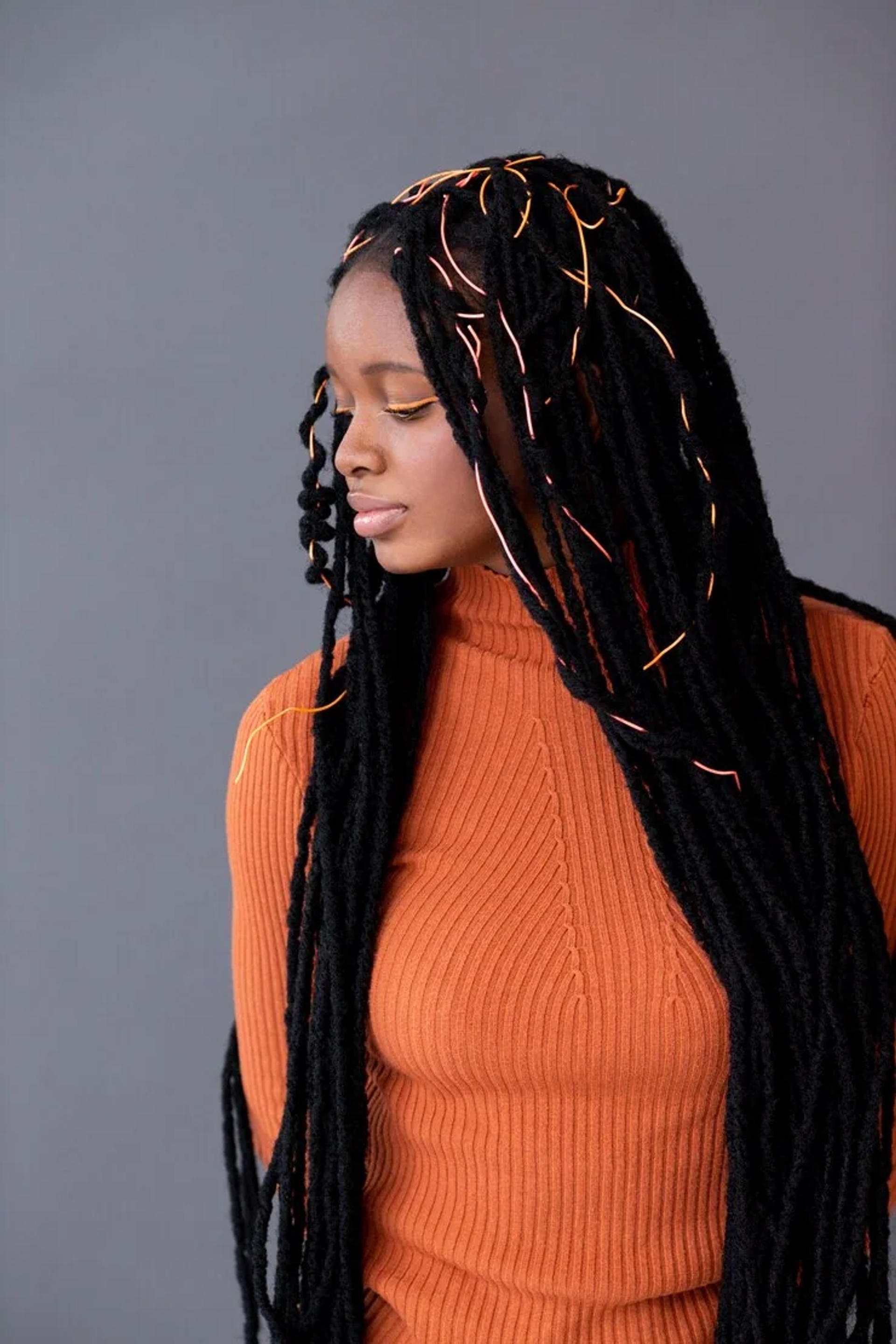 Braids Styles image
