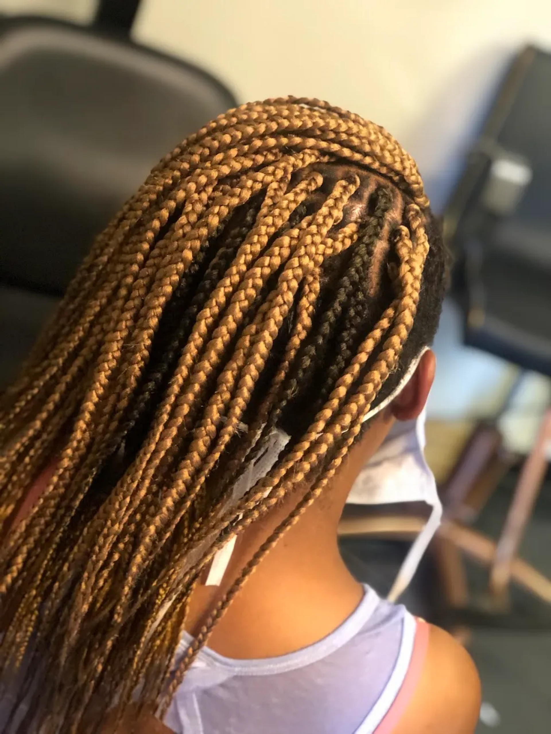 Braids Styles image