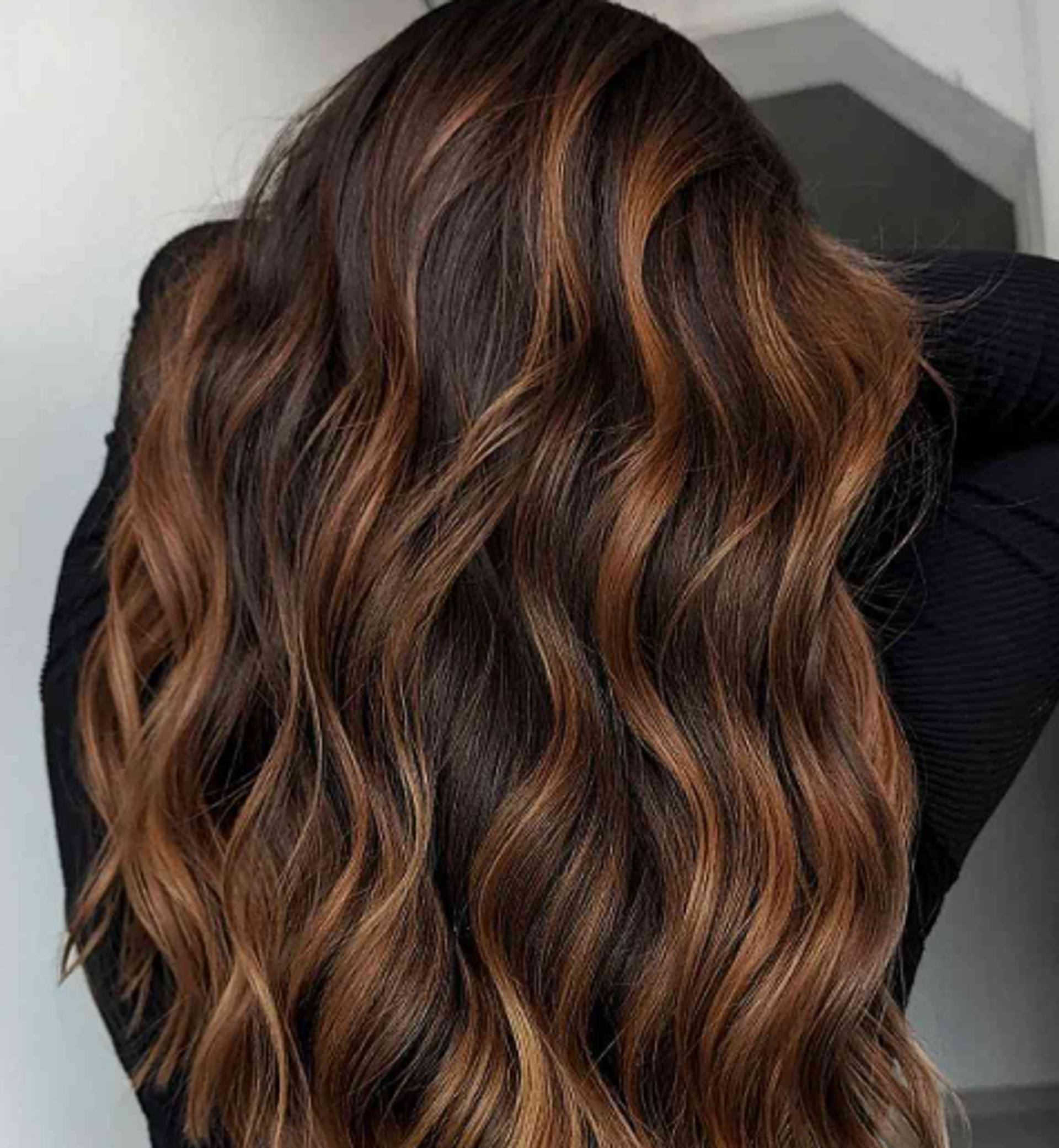 Highlights
