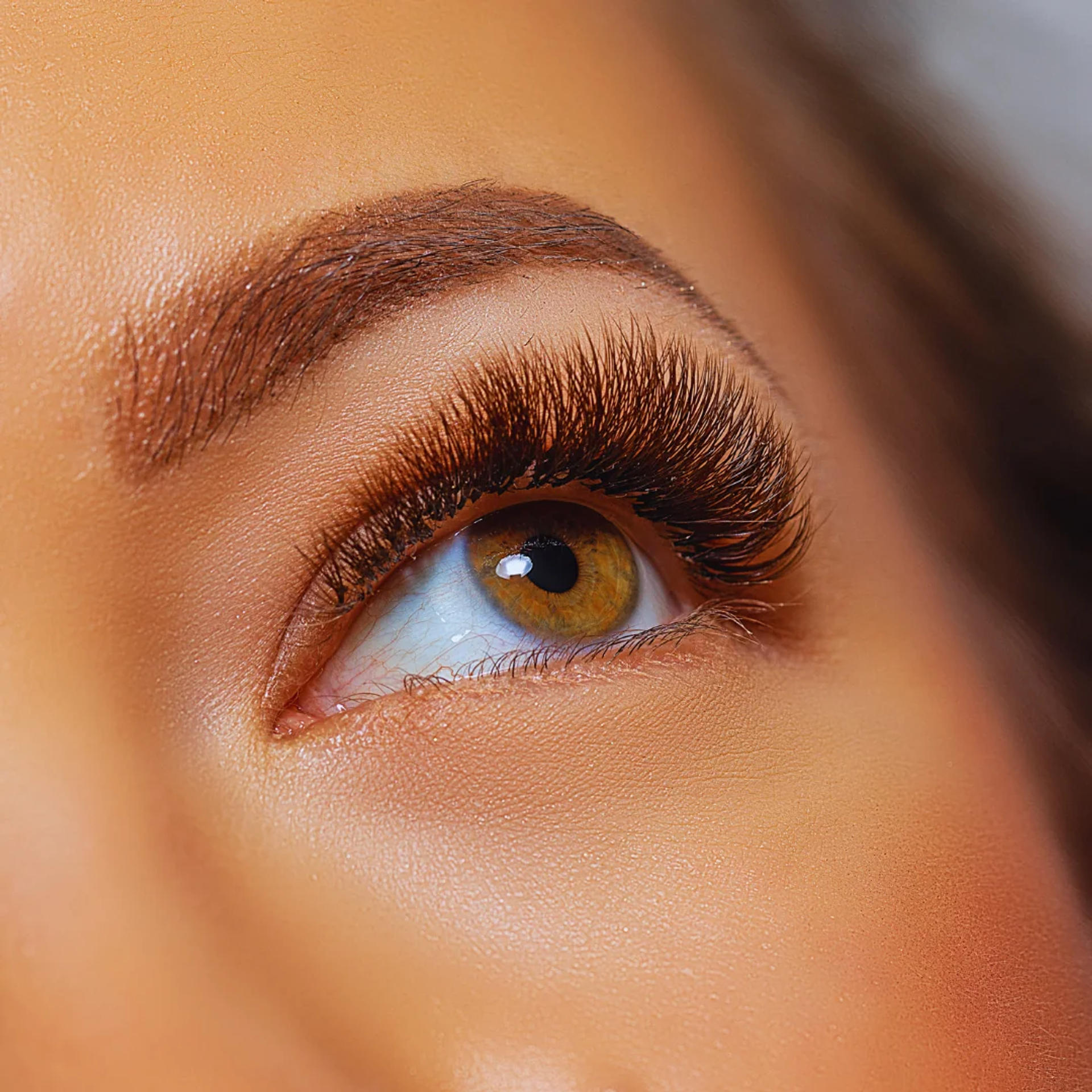 eye,eyelash,beauty,makeup,close-up,detail