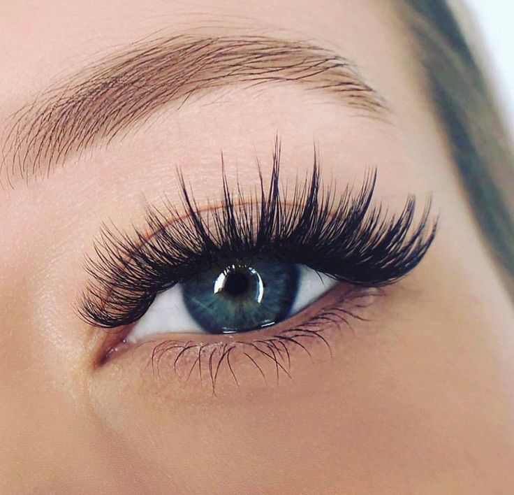 Classic Mink Lash Services