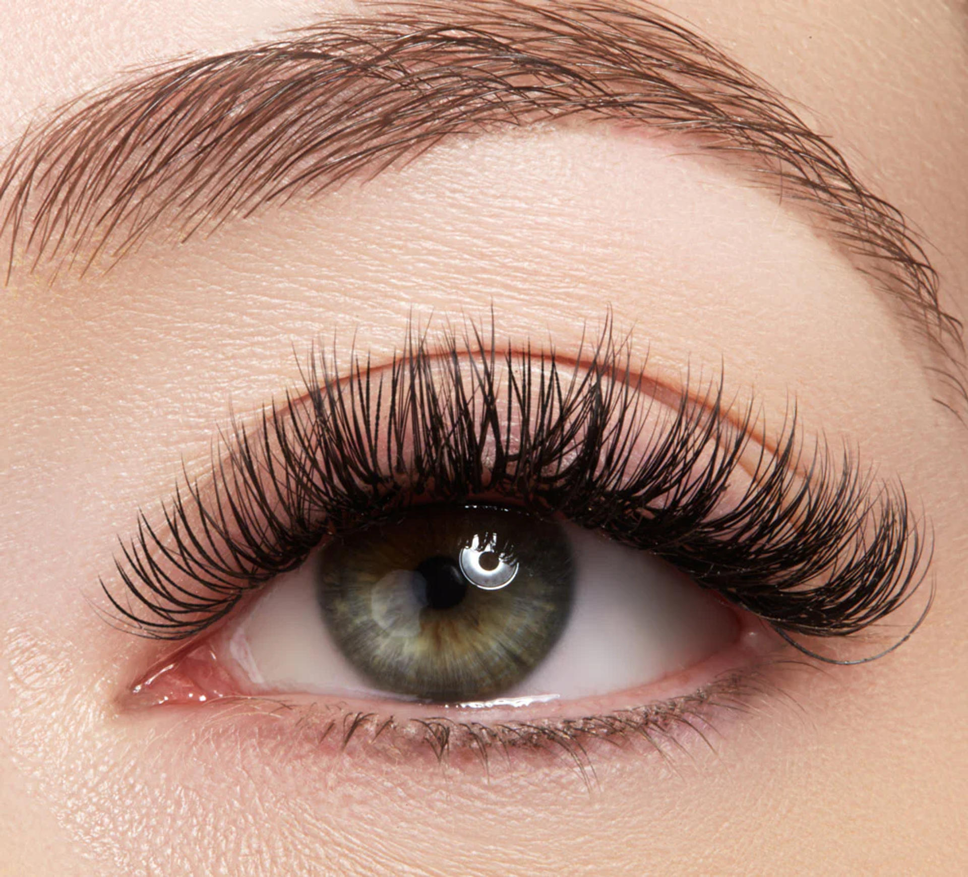 Eyelash Extensions & Fills