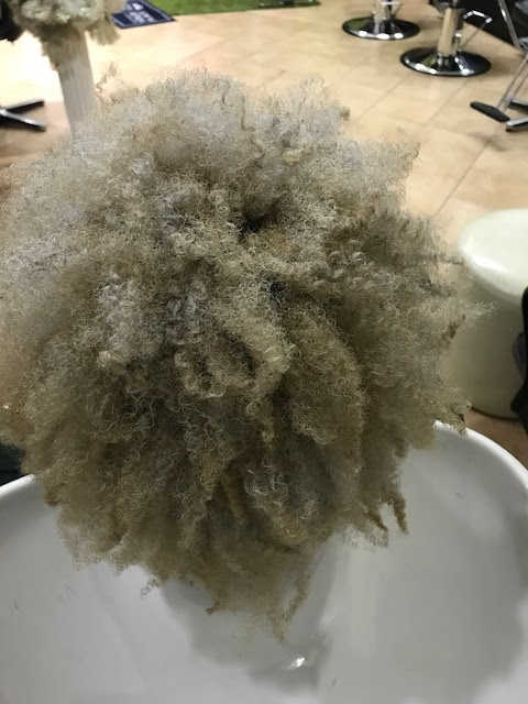 gallery image in our gallery